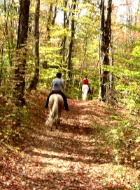 riders on trail